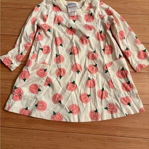 Hanna Andersson Cream Dress with Pink Pumpkin Design